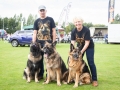 Karolyn & Steve Grimmitt Central German Shepherd Rescue, Jax, Milo & Misha - Copy
