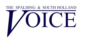 Voice logo 4