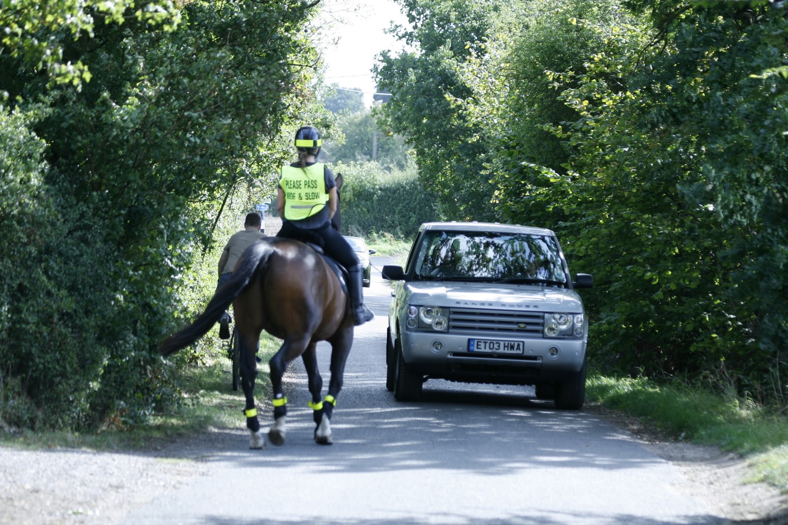 Campaign to improve horse safety on roads The Voice