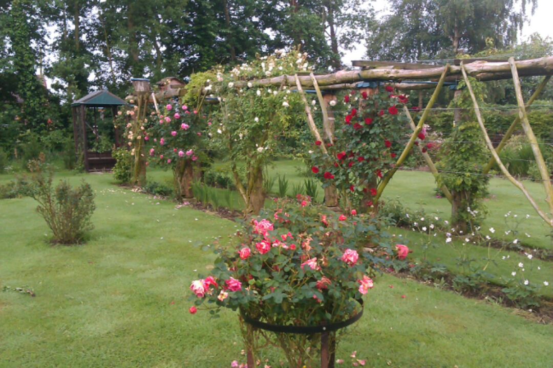 Search is under way for Holbeach’s best garden The Voice