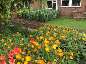 The community garden at South Holland District Council’s Nene Court sheltered accommodation.