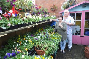 Pete and Steph Williams with some of the many plants they are bringing on.