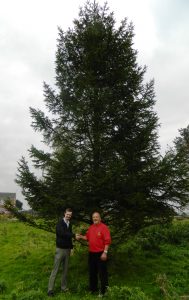spalding-christmas-tree-donation