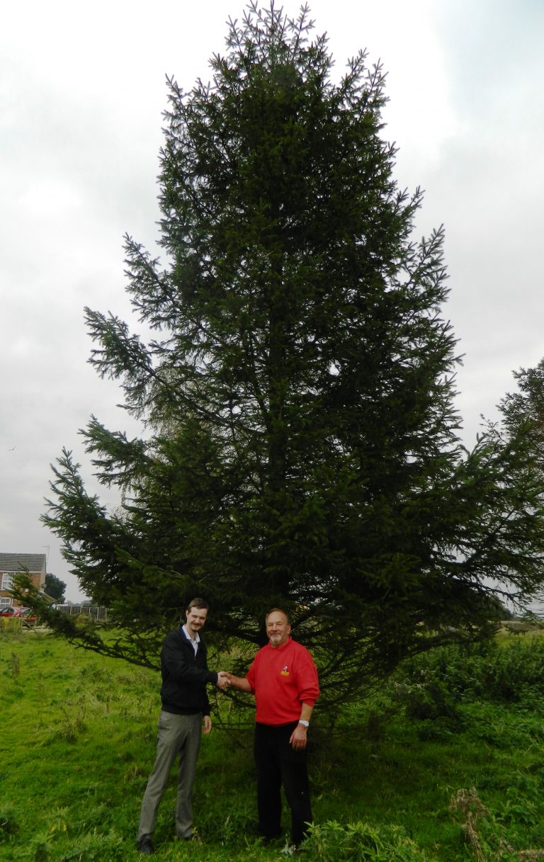 Baytree Garden Centre extends its sponsorship of Spalding town centre Christmas tree The Voice