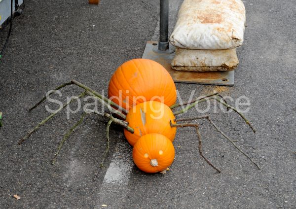 spalding-pumpkin-festival-names-14